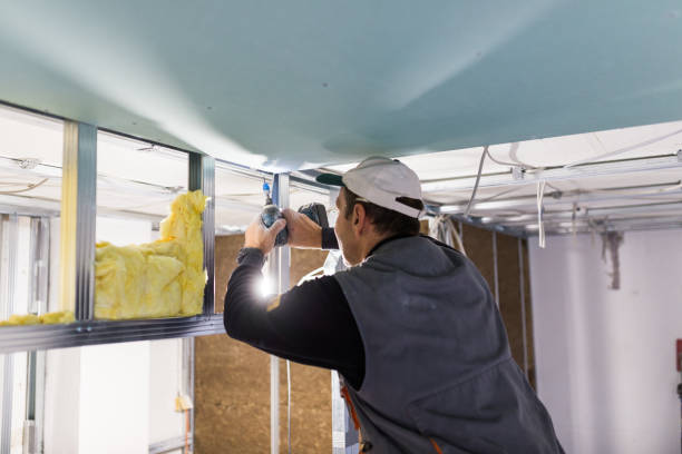 Best Insulation Installation Services in St Charles, MI