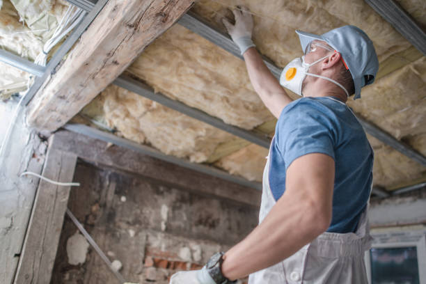 Best Specialty Insulation in St Charles, MI