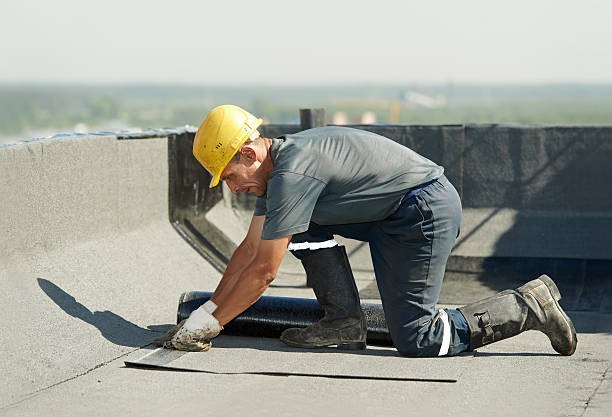 Best Specialty Insulation in St Charles, MI