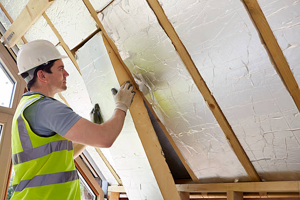 Best Commercial Insulation in St Charles, MI